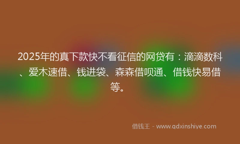 2025年的真下款快不看征信的网贷有：滴滴数科、爱木速借、钱进袋、森森借呗通、借钱快易借等。