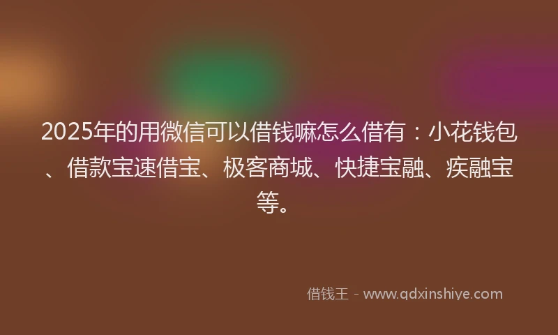 2025年的用微信可以借钱嘛怎么借有：小花钱包、借款宝速借宝、极客商城、快捷宝融、疾融宝等。