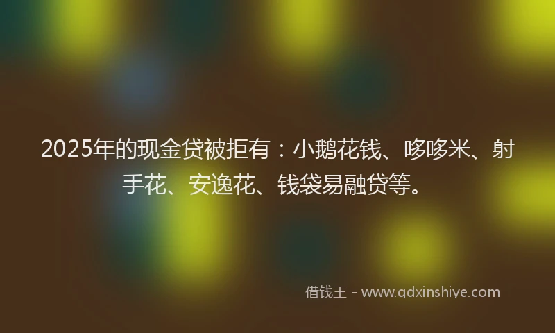 2025年的现金贷被拒有：小鹅花钱、哆哆米、射手花、安逸花、钱袋易融贷等。