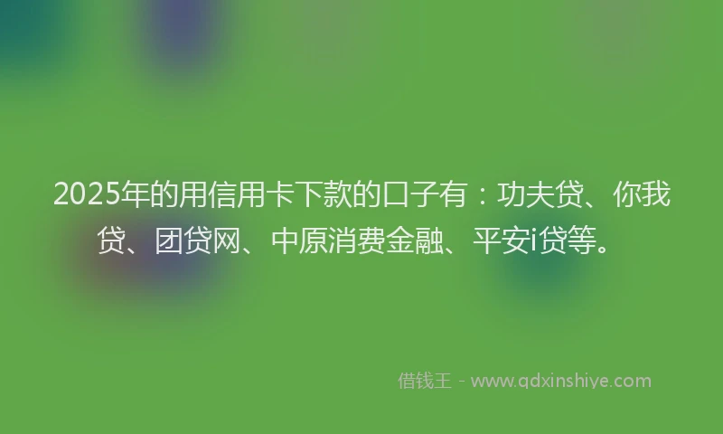 2025年的用信用卡下款的口子有：功夫贷、你我贷、团贷网、中原消费金融、平安i贷等。