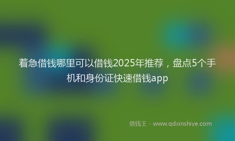 着急借钱哪里可以借钱2025年推荐，盘点5个手机和身份证快速借钱app