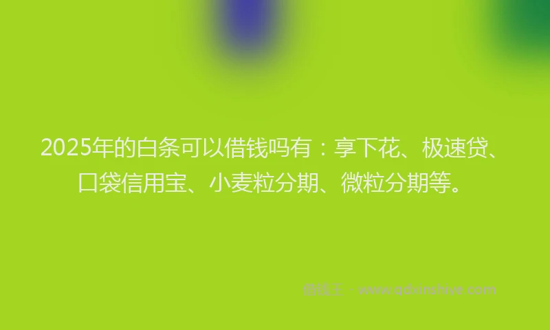 2025年的白条可以借钱吗有：享下花、极速贷、口袋信用宝、小麦粒分期、微粒分期等。