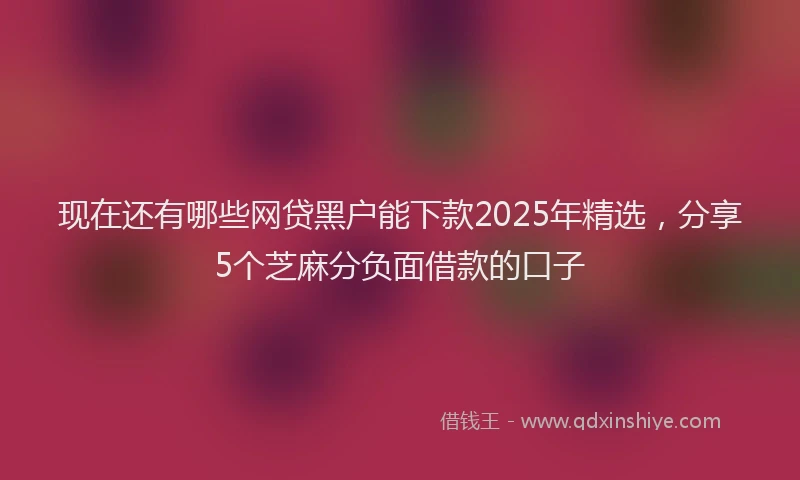 现在还有哪些网贷黑户能下款2025年精选，分享5个芝麻分负面借款的口子