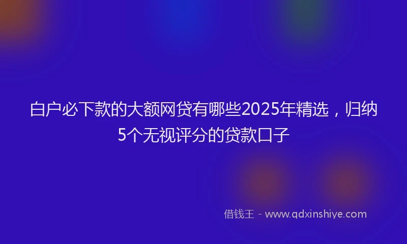 白户必下款的大额网贷有哪些2025年精选，归纳5个无视评分的贷款口子
