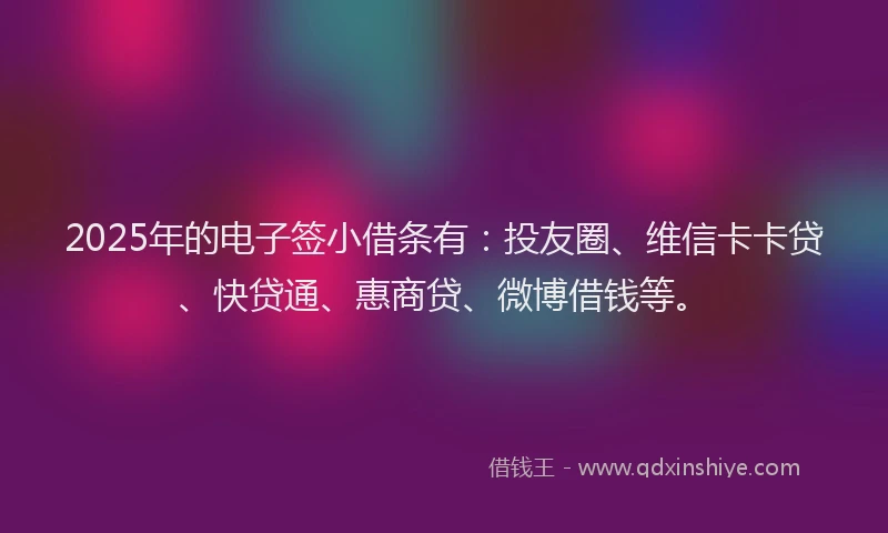 2025年的电子签小借条有：投友圈、维信卡卡贷、快贷通、惠商贷、微博借钱等。