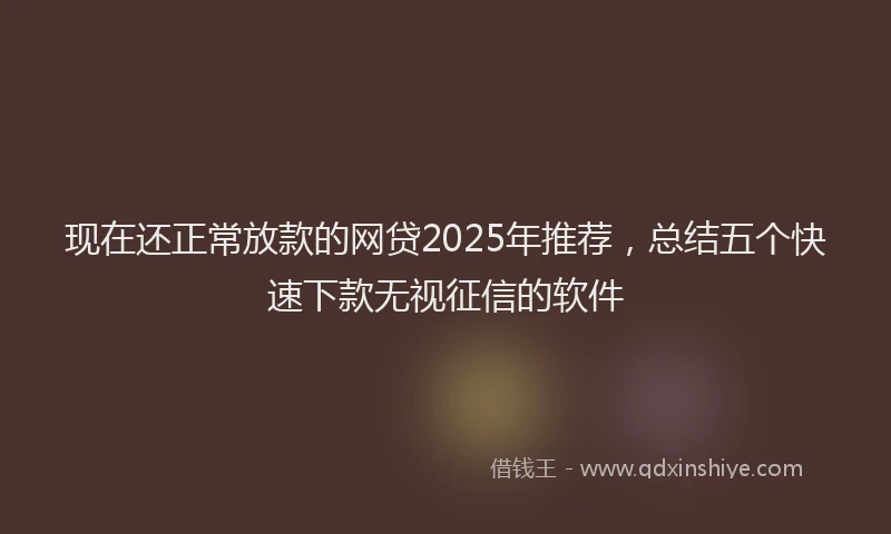 现在还正常放款的网贷2025年推荐，总结五个快速下款无视征信的软件