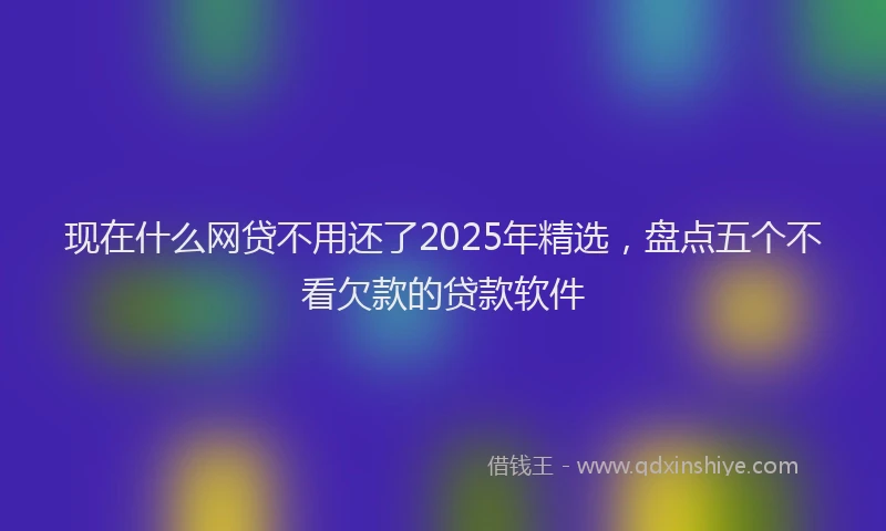 现在什么网贷不用还了2025年精选，盘点五个不看欠款的贷款软件