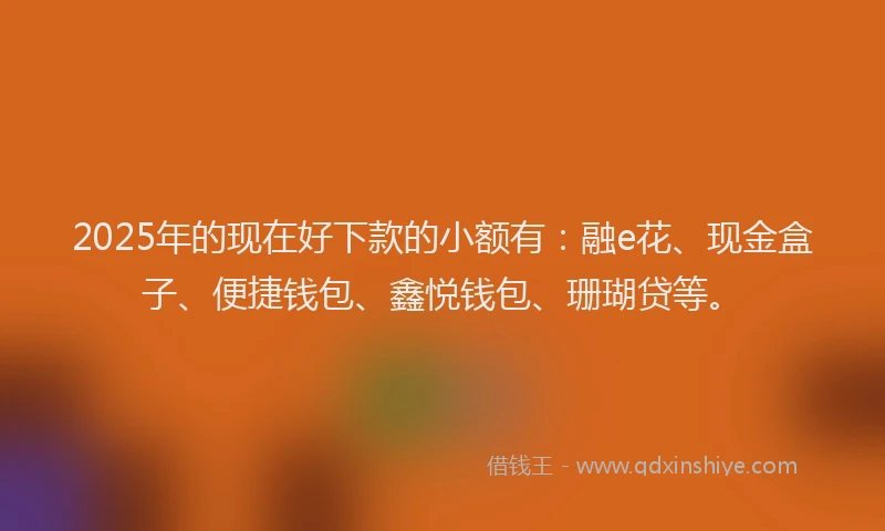 2025年的现在好下款的小额有：融e花、现金盒子、便捷钱包、鑫悦钱包、珊瑚贷等。