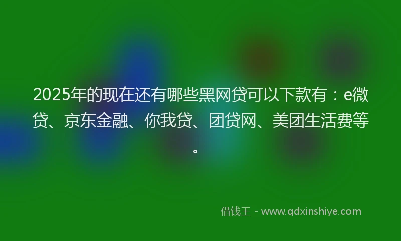 2025年的现在还有哪些黑网贷可以下款有：e微贷、京东金融、你我贷、团贷网、美团生活费等。