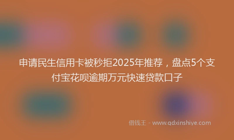 申请民生信用卡被秒拒2025年推荐，盘点5个支付宝花呗逾期万元快速贷款口子