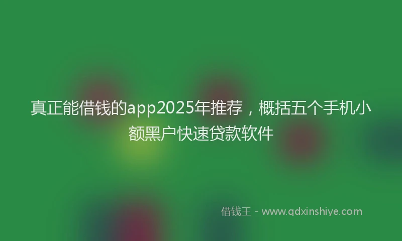真正能借钱的app2025年推荐，概括五个手机小额黑户快速贷款软件