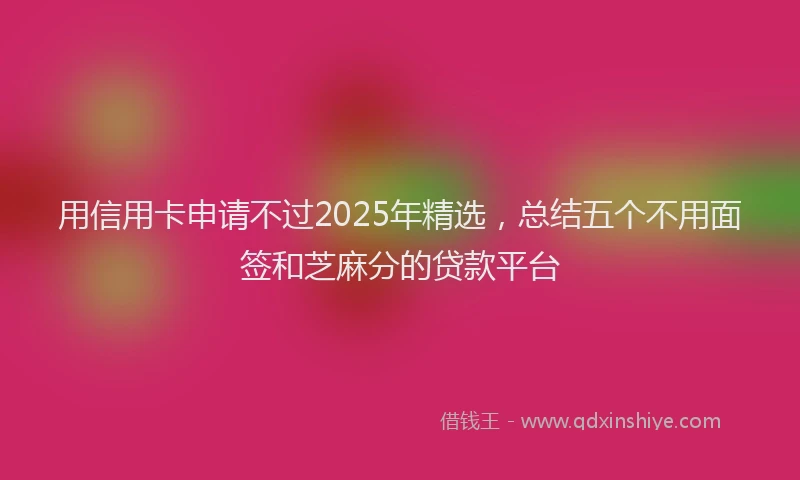 用信用卡申请不过2025年精选，总结五个不用面签和芝麻分的贷款平台