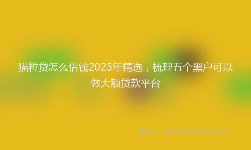 猫粒贷怎么借钱2025年精选，梳理五个黑户可以做大额贷款平台
