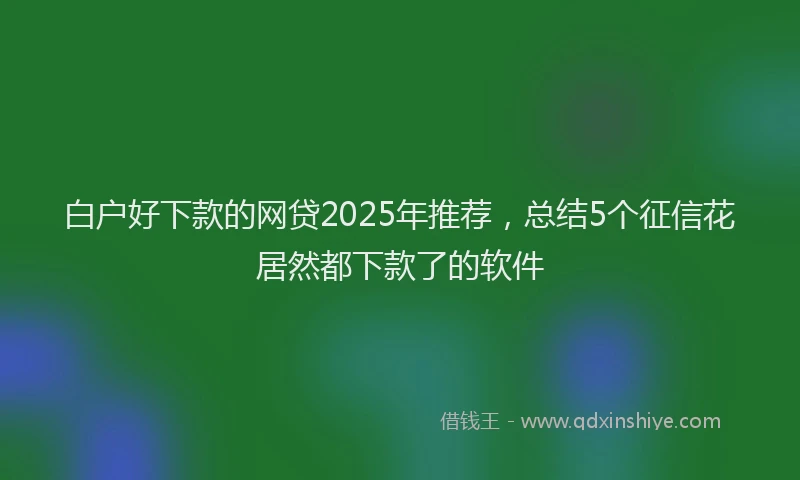 白户好下款的网贷2025年推荐，总结5个征信花居然都下款了的软件