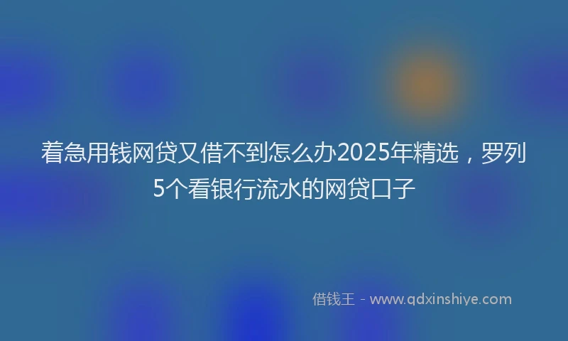 着急用钱网贷又借不到怎么办2025年精选，罗列5个看银行流水的网贷口子