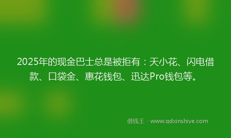 2025年的现金巴士总是被拒有：天小花、闪电借款、口袋金、惠花钱包、迅达Pro钱包等。