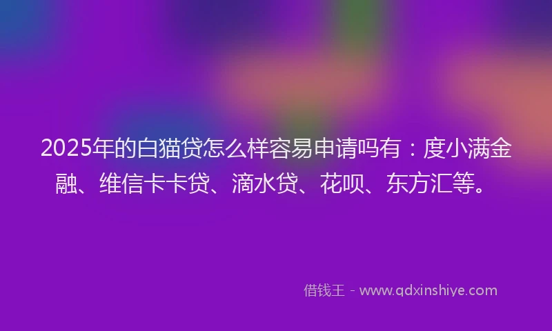 2025年的白猫贷怎么样容易申请吗有：度小满金融、维信卡卡贷、滴水贷、花呗、东方汇等。
