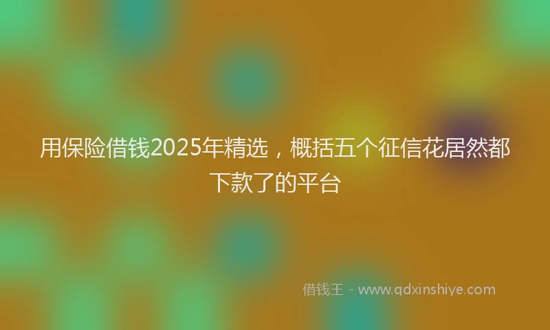 用保险借钱2025年精选，概括五个征信花居然都下款了的平台