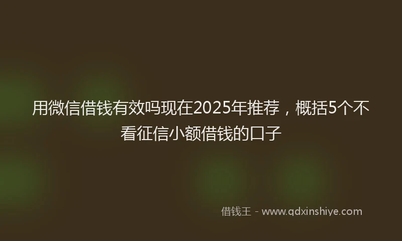 用微信借钱有效吗现在2025年推荐，概括5个不看征信小额借钱的口子