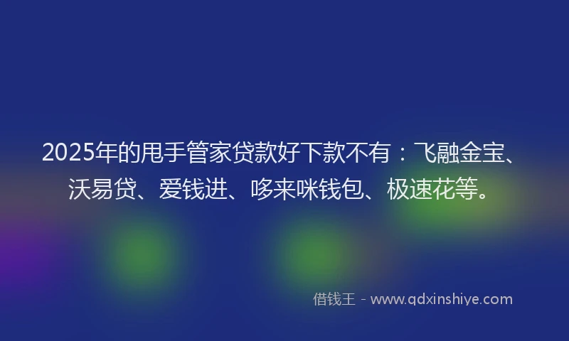 2025年的甩手管家贷款好下款不有：飞融金宝、沃易贷、爱钱进、哆来咪钱包、极速花等。