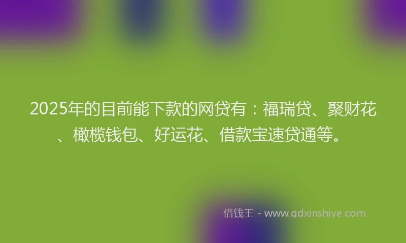 2025年的目前能下款的网贷有：福瑞贷、聚财花、橄榄钱包、好运花、借款宝速贷通等。