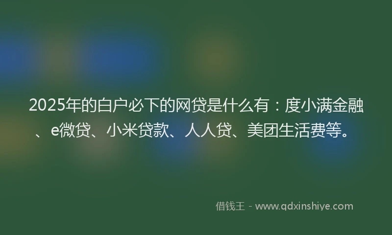 2025年的白户必下的网贷是什么有：度小满金融、e微贷、小米贷款、人人贷、美团生活费等。