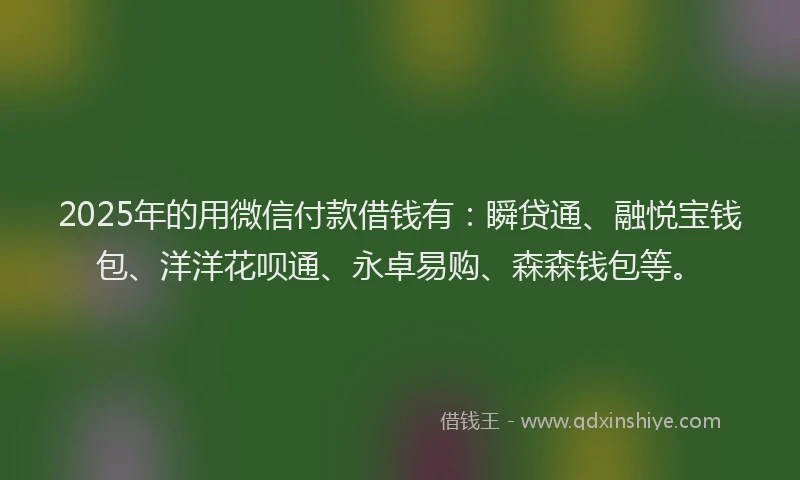 2025年的用微信付款借钱有：瞬贷通、融悦宝钱包、洋洋花呗通、永卓易购、森森钱包等。