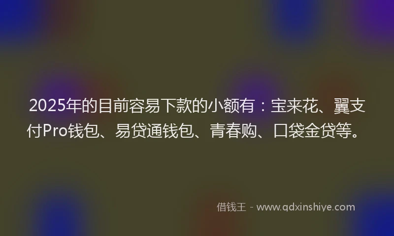 2025年的目前容易下款的小额有：宝来花、翼支付Pro钱包、易贷通钱包、青春购、口袋金贷等。
