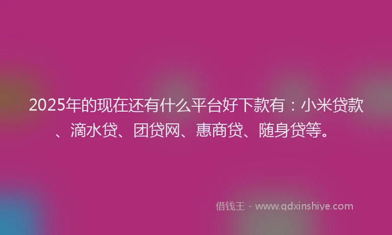 2025年的现在还有什么平台好下款有：小米贷款、滴水贷、团贷网、惠商贷、随身贷等。