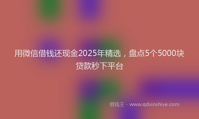 用微信借钱还现金2025年精选，盘点5个5000块贷款秒下平台