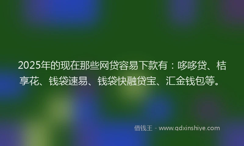 2025年的现在那些网贷容易下款有：哆哆贷、桔享花、钱袋速易、钱袋快融贷宝、汇金钱包等。