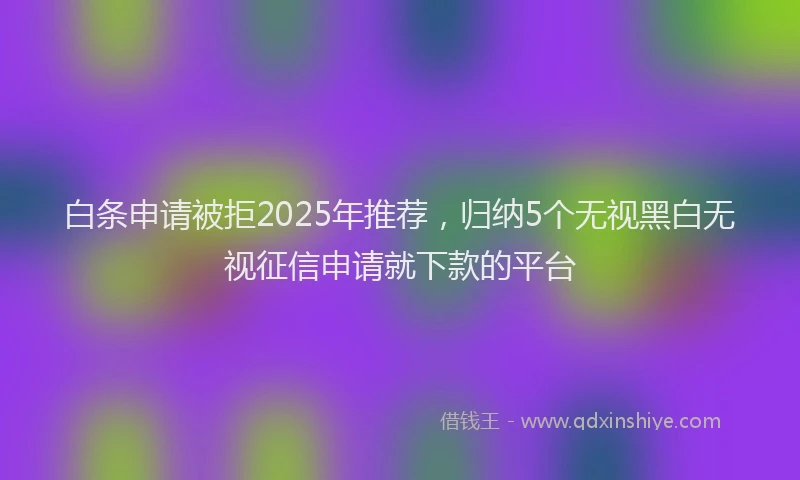 白条申请被拒2025年推荐，归纳5个无视黑白无视征信申请就下款的平台