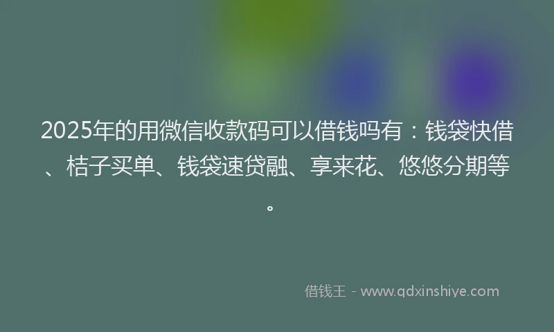 2025年的用微信收款码可以借钱吗有：钱袋快借、桔子买单、钱袋速贷融、享来花、悠悠分期等。