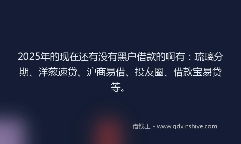 2025年的现在还有没有黑户借款的啊有：琉璃分期、洋葱速贷、沪商易借、投友圈、借款宝易贷等。