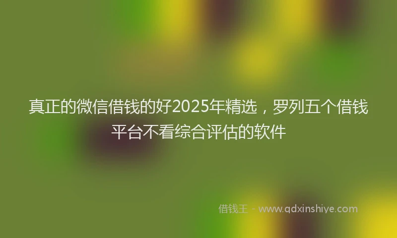 真正的微信借钱的好2025年精选，罗列五个借钱平台不看综合评估的软件