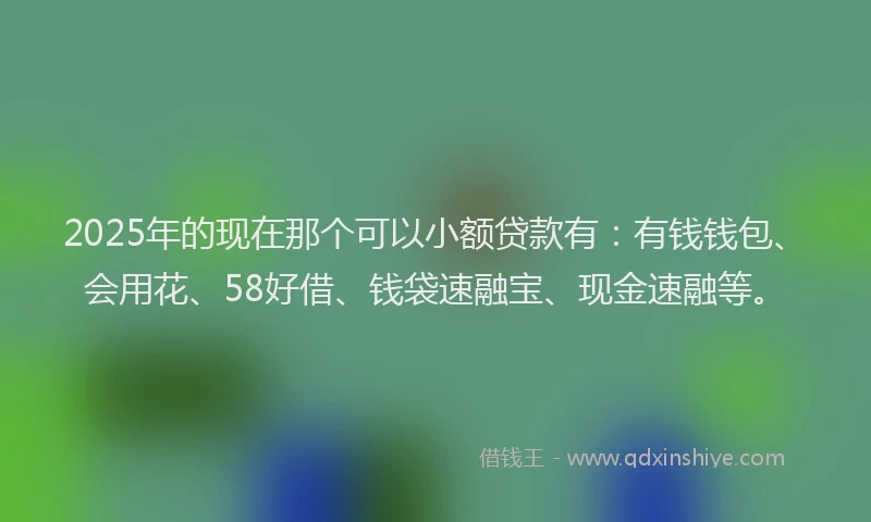 2025年的现在那个可以小额贷款有：有钱钱包、会用花、58好借、钱袋速融宝、现金速融等。