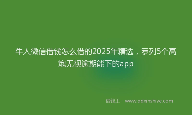 牛人微信借钱怎么借的2025年精选，罗列5个高炮无视逾期能下的app