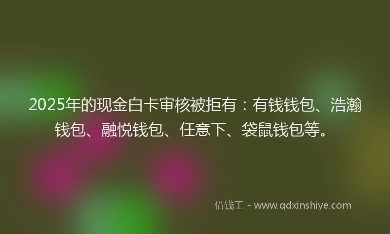2025年的现金白卡审核被拒有：有钱钱包、浩瀚钱包、融悦钱包、任意下、袋鼠钱包等。