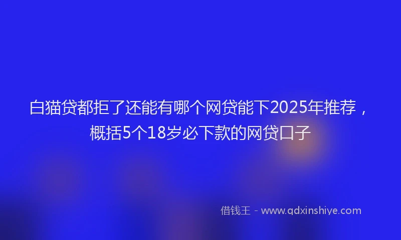 白猫贷都拒了还能有哪个网贷能下2025年推荐，概括5个18岁必下款的网贷口子