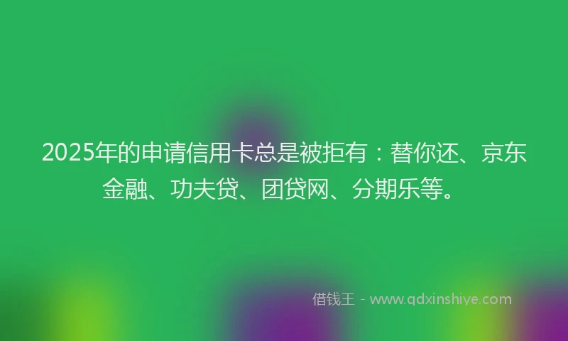 2025年的申请信用卡总是被拒有：替你还、京东金融、功夫贷、团贷网、分期乐等。