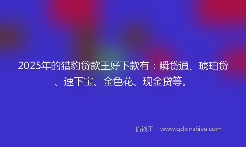 2025年的猎豹贷款王好下款有：瞬贷通、琥珀贷、速下宝、金色花、现金贷等。