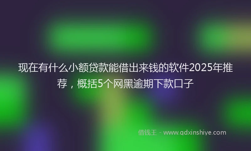 现在有什么小额贷款能借出来钱的软件2025年推荐，概括5个网黑逾期下款口子