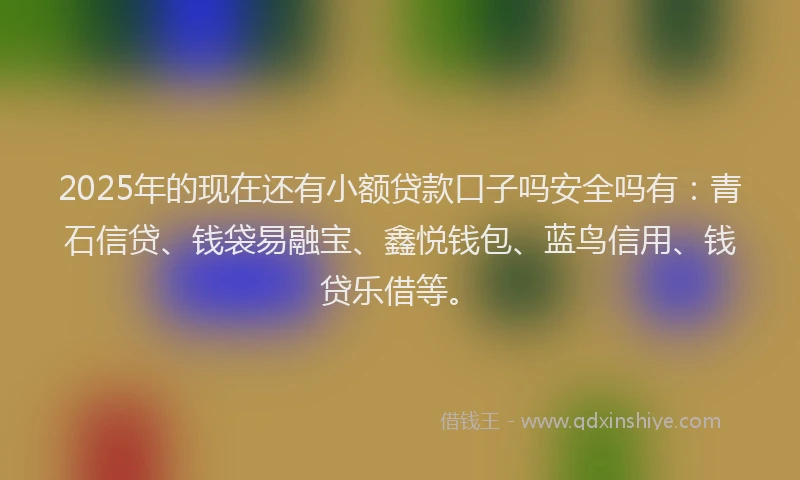 2025年的现在还有小额贷款口子吗安全吗有：青石信贷、钱袋易融宝、鑫悦钱包、蓝鸟信用、钱贷乐借等。