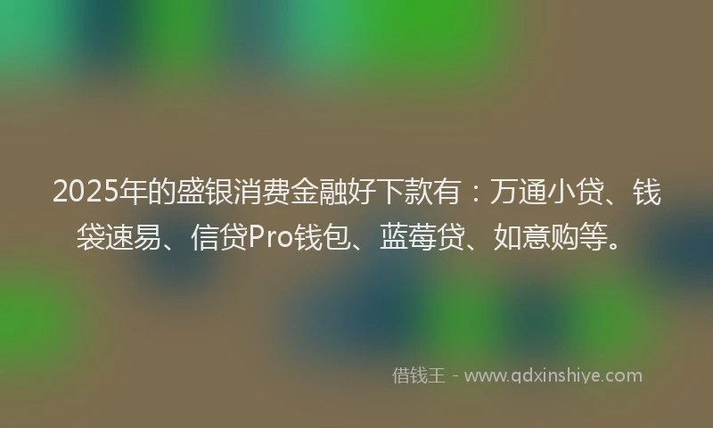 2025年的盛银消费金融好下款有：万通小贷、钱袋速易、信贷Pro钱包、蓝莓贷、如意购等。