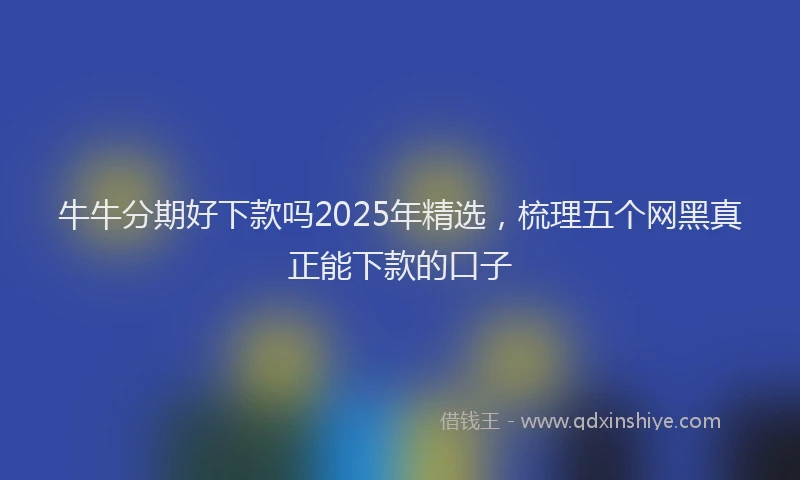 牛牛分期好下款吗2025年精选，梳理五个网黑真正能下款的口子