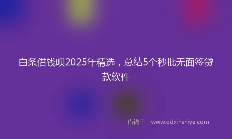 白条借钱呗2025年精选，总结5个秒批无面签贷款软件