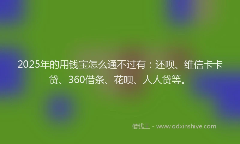 2025年的用钱宝怎么通不过有：还呗、维信卡卡贷、360借条、花呗、人人贷等。