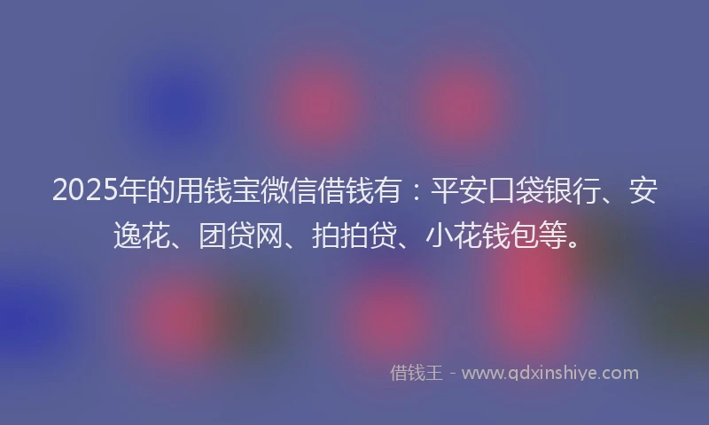 2025年的用钱宝微信借钱有：平安口袋银行、安逸花、团贷网、拍拍贷、小花钱包等。