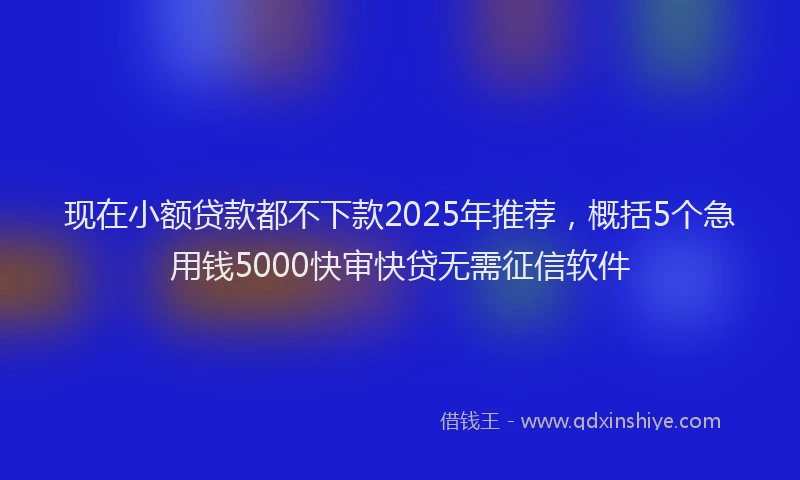 现在小额贷款都不下款2025年推荐，概括5个急用钱5000快审快贷无需征信软件