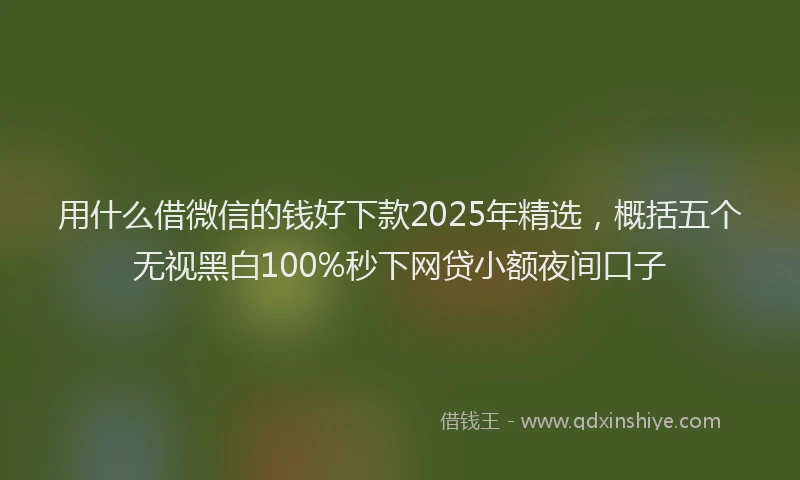 用什么借微信的钱好下款2025年精选，概括五个无视黑白100%秒下网贷小额夜间口子